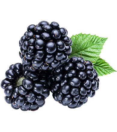 blackberry PNG19